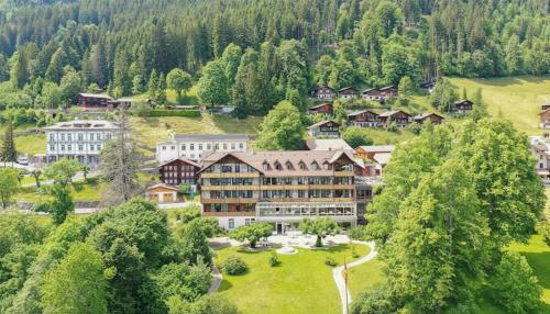 ベアテンベルクにあるBeatenberg Resort & Spaの山のリゾートの空中ビュー