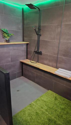 ein Badezimmer mit einer Dusche mit grünem Licht in der Unterkunft Loveroom Metz Centre Private Spa in Metz