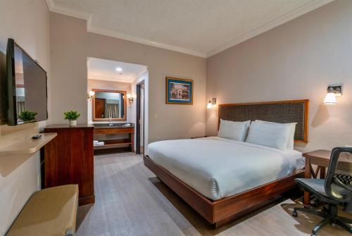 Una habitación de hotel con una cama, un escritorio y una silla. en Wyndham Garden Baronne Plaza, en Nueva Orleans