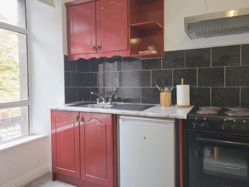 a kitchen with red cabinets and a sink at Cosy Cork Studio - cosyincork in Cork