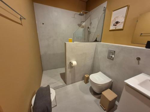 a bathroom with a toilet and a shower and a sink at Apartment Rustico in Ancient Epidavros