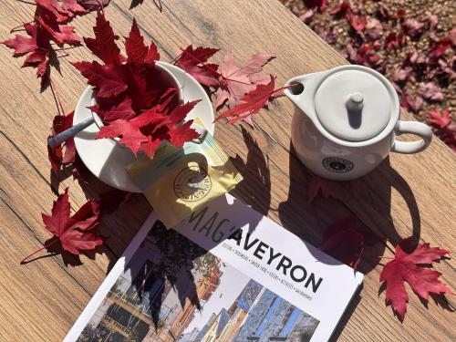 Příslušenství pro přípravu čaje a kávy v ubytování Domaine Saint Estève