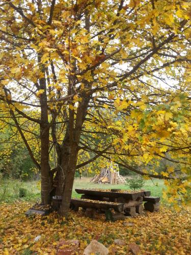 a park with a bench under a tree at Staparski Sorrento in Užice