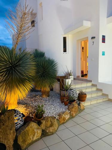 a courtyard with potted plants in a building at Casa Bonic -Sunset Seaview in Sant Josep de sa Talaia