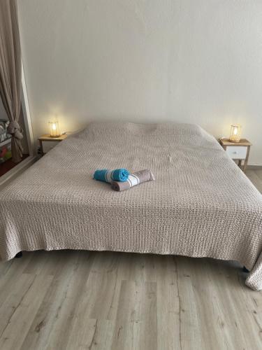 Ένα ή περισσότερα κρεβάτια σε δωμάτιο στο Grand Studio Mont Vernon Saint-Martin