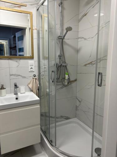 a bathroom with a shower and a sink at Apartament Stare Miasto Malbork in Malbork