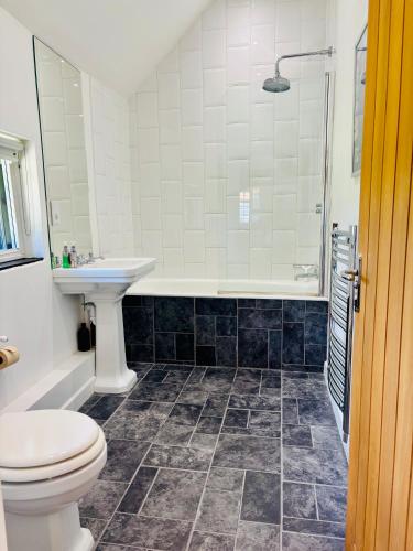 a bathroom with a toilet and a sink and a shower at The Thatched Barn in Thame
