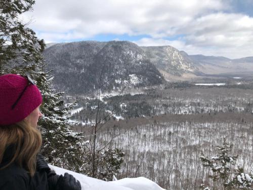 Φυσικό τοπίο κοντά σε αυτό το σαλέ