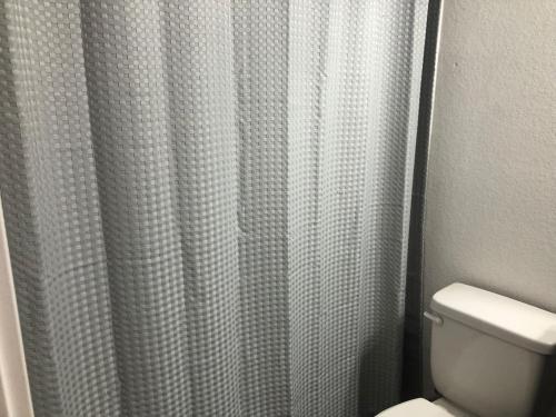 a bathroom with a shower curtain and a toilet at Modern Leander Getaway Near Shop- Leander TX in Leander