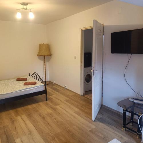 a room with a bed and a television and a door at Hunedoara Central Stay in Hunedoara