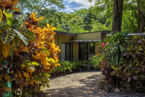 a house surrounded by trees and plants at Casa Playa Avellanas in Santa Cruz