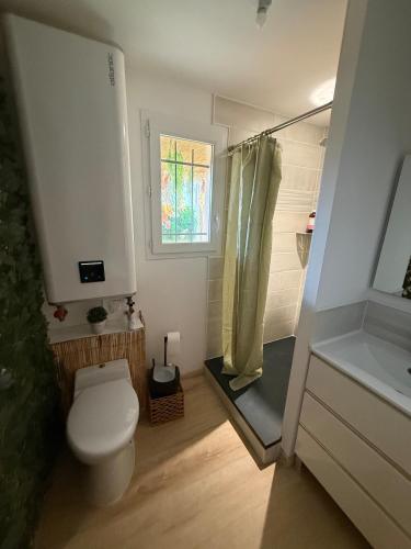 a small bathroom with a toilet and a shower at Aux sources de Bali in Lavaur