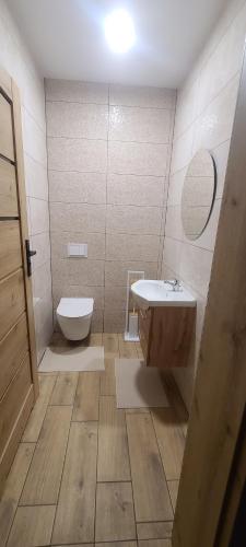 a bathroom with a toilet and a sink and a mirror at DreamHill in Bustryk