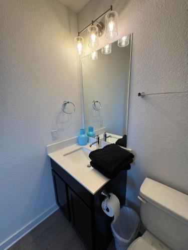 a bathroom with a sink and a mirror and a toilet at New 1BR Apt leander tx in Leander