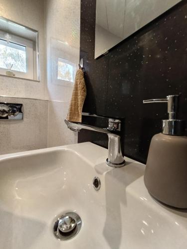 a bathroom sink with a soap dispenser on top of it at Ubytovanie Pod lesom in Ľubica