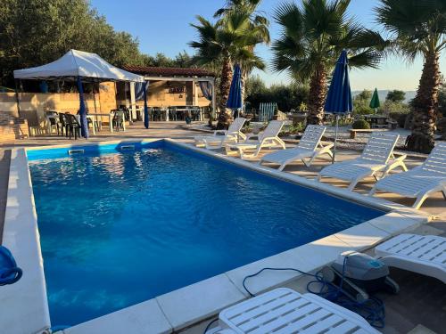 a swimming pool with lounge chairs and palm trees at Villa Liliana Piroska in San Giuseppe Jato