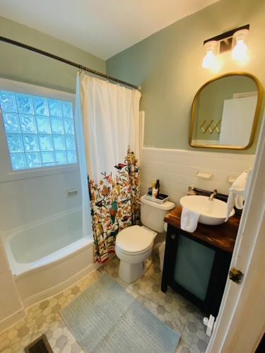 a bathroom with a toilet and a sink and a shower at Midtown Cottage- Walk to Whole Foods in Tallahassee