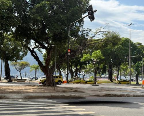 Naturlandskabet i nærheden af lejligheden