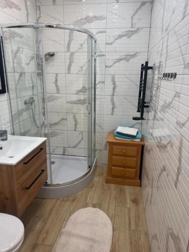 a bathroom with a shower and a sink at Cichy Zaułek 8A in Brodnica
