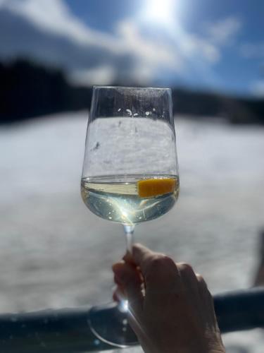 a person holding a glass of water with an orange in it at Wohlfühlpension Kreischberg inklusive MurauGästeCard in Sankt Georgen ob Murau