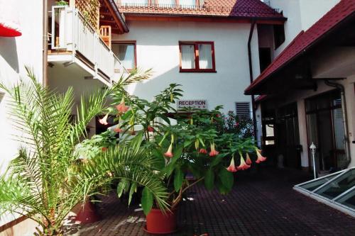 a group of plants in front of a building at Hotel Zum Löwen in Mörfelden-Walldorf