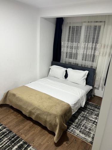 Gallery image of Apartment in Kosovo Polje