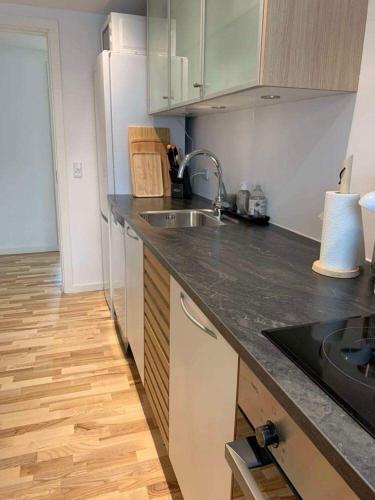 a kitchen with a sink and a counter top at F27-K, 4 people, 4 bedrooms, fully furnished in Aalborg
