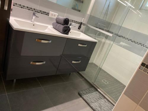 a bathroom with a sink and a shower at Quite House in Villiers-le-Morhier