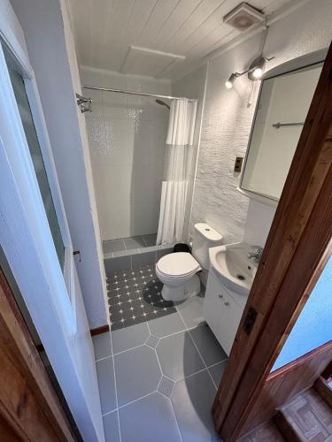 a small bathroom with a toilet and a shower at Cabaña en el Interior in Tongoy