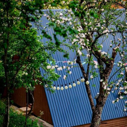 a tree with white flowers in front of a blue building at eco cottage sunrise merisi in Merisi
