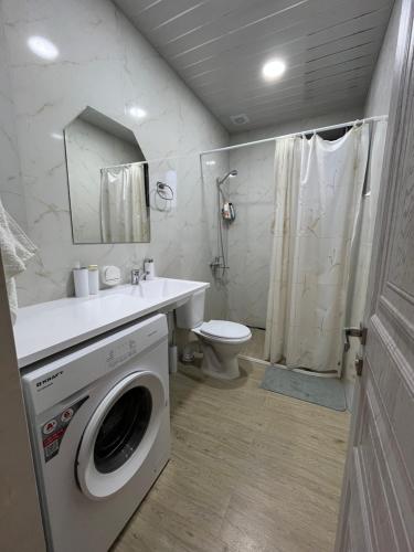 Koupelna v ubytování Toon 33