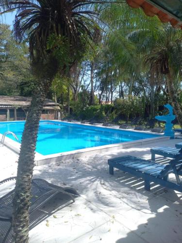 a blue swimming pool with a bench and a palm tree at Pousada Fazendinha Tatuira in Imbé