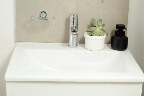ein Waschbecken mit einem Wasserhahn und einer Pflanze darauf in der Unterkunft Willow Villa Apartments, at The Fig in Gaborone