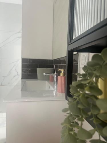 a bathroom counter with a sink and a plant at T2 cosy au calme , proche Dax in Tercis-les-Bains