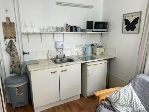 a small kitchen with a sink and a microwave at Emsworth Studio - With Hot tub only Oct to April in Emsworth