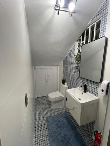 a bathroom with a sink and a toilet and a mirror at Jeda Village in Higuey