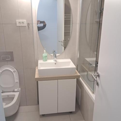 a bathroom with a sink and a toilet and a mirror at Trio Caracatita in Otopeni