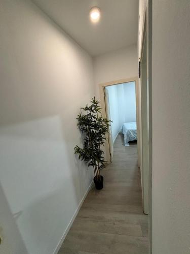 Two-bedroom apartment in Alonso Cano