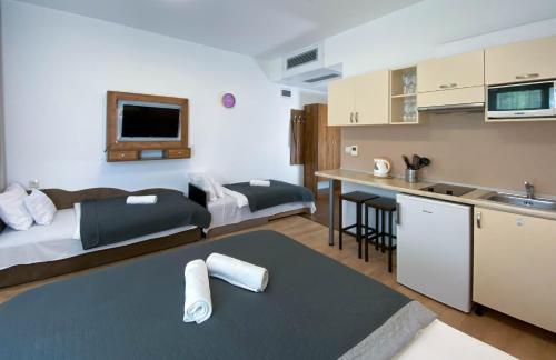a hotel room with two beds and a kitchen at Boró Apartman in Tiszafüred