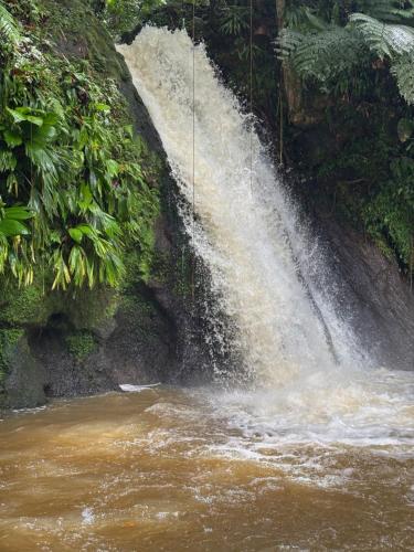 a waterfall in the middle of a river at Coco-orchidées Le Domaine Mannou in Sainte-Rose