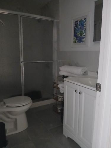 a bathroom with a toilet and a shower and a sink at Labelle in Wilkes-Barre