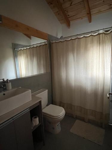 a bathroom with a toilet and a sink and a mirror at El Bosque in Trevelín