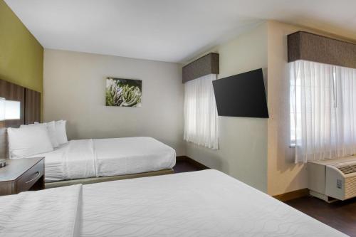 a hotel room with two beds and two windows at Best Western North Phoenix Hotel in Phoenix