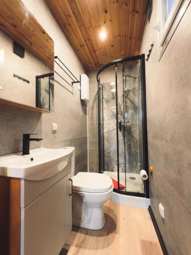 a bathroom with a shower and a toilet and a sink at Charmful Sunset Cabin - Private Hot Tub & Sauna - Beach access in Wapnica