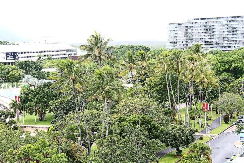 a view of a street with palm trees and a building at Cairns Aquarius in Cairns
