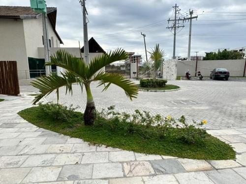 a small palm tree in a courtyard with flowers at Flat na Praia dos Carneiros a 250m do mar in Tamandaré