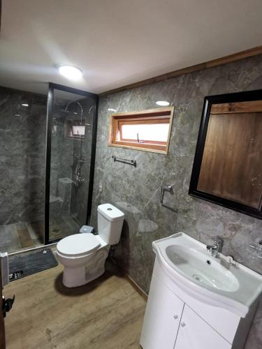 a bathroom with a toilet and a shower and a sink at Cabaña monte rio in Cabo Juan Roman
