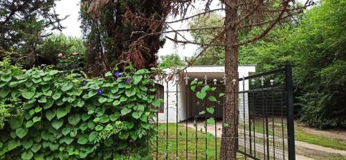 a gate in front of a fence with a tree at Casita de los recuerdos in Villa Carlos Paz