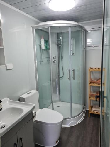 a bathroom with a shower and a toilet and a sink at Sleeps 3 to 4 - - 200m from beach in Dunedin