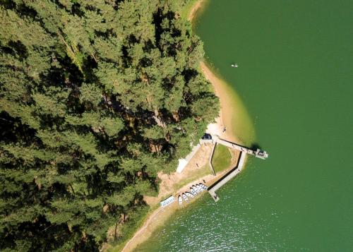 Giraičiai にあるORO Dubingiaiの木々と水の海岸の景色